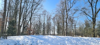 Sneeuwlandschap