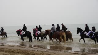 straô 2025grijs regen paarden in zee