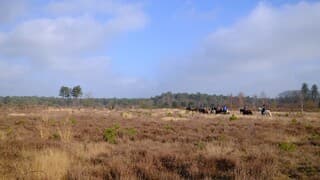 Zon, wolken, opklaringen en paardrijden op de Leusder heide