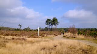 Prachtig wandelweer met zon en wolken op voorjaarsachtige dag