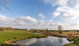 Steeds meer zon