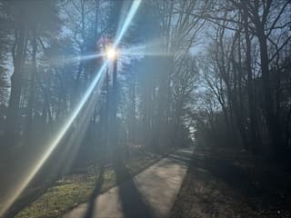 "Magische ochtend in Den Dolder"