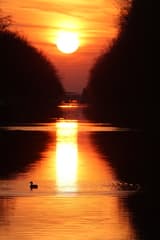 20250308 Sunset in Lieshout