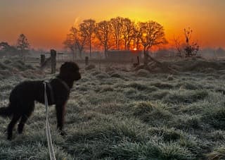 Samen kijken naar de zonsopkomst 