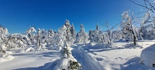 Stralend Lapland