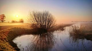 Onnerpolder in de ochtend