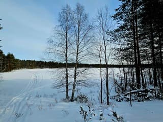 Winter in Finland