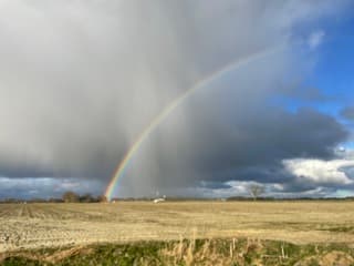 Donkere luchten en regenboog boven Pieterburen 