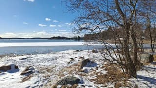Zon in koud Finland