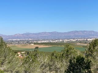 Na de regen van gisteren ….