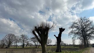 Veel stapelbewolking