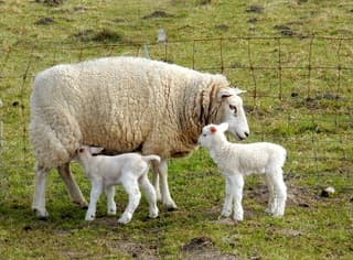 Lentegroetjes uit Kerkwerve.