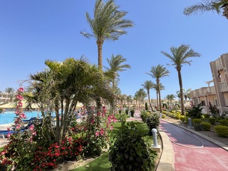 Vandaag zonnig in Egypte 