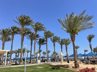 Frisse wind in Egypte 