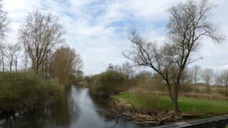Opklaringen boven de Roer.