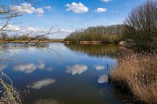 Reflectie in de kreken