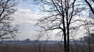 Wat heiig met een frisse wind