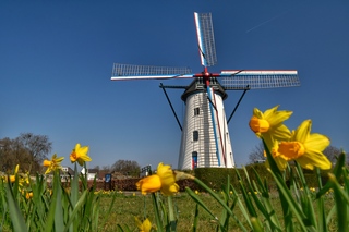 Strak blauwe lucht 