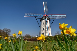 Strak blauwe lucht 