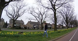 Steeds meer bewolking