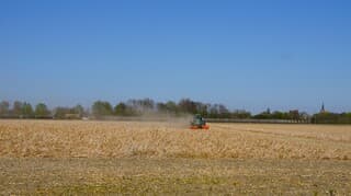 zonnig strak blauwe lucht