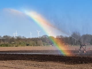 Bronneger, Regenboog