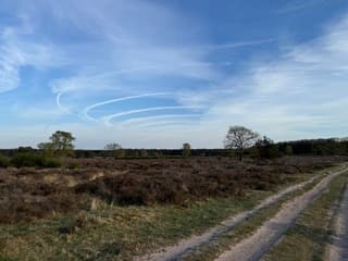 Hoorneboegse Heide