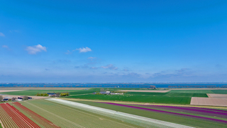 Prachtig weer boven tulpenvelden en water