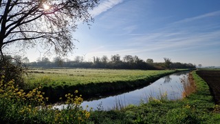 Hoevense Polder