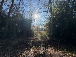 Morgenzon over de hei