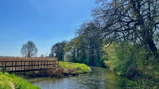 Ondanks de droogte wordt het al mooi groen in de natuur.