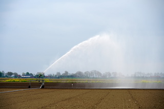 Droogte