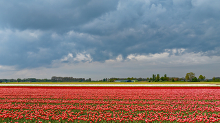 Woelige lucht