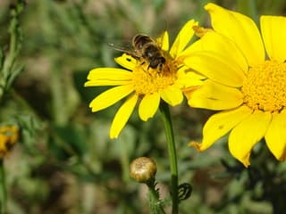 Lekker in het zonnetje