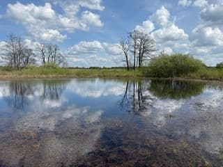 Overwegend zonnig weer met af en toe wat wolken. Vrijwel geen wind.