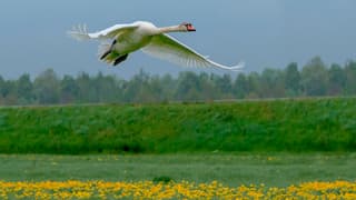 13.15 uur en nog geen zon te zien.