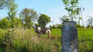 ZO LANDELIJK en ZONNIG