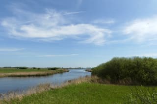 Mooie sluierbewolking