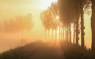 Schitterend licht vanmorgen! 