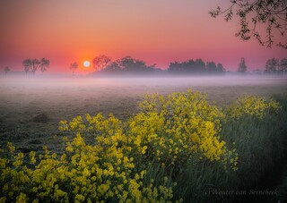 Zonsopkomst met grondmist!