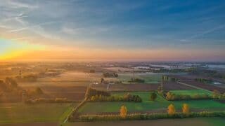  Dauw lost op in het ochtendlicht
