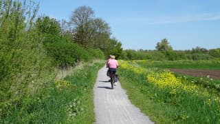 Prachtig groen is de natuur  