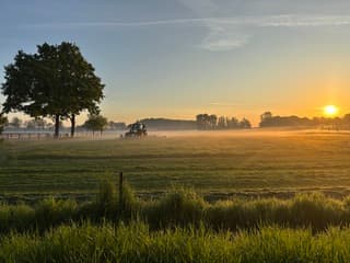 Gras maaien in ochtend dauw