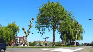 BLAUWE LUCHT