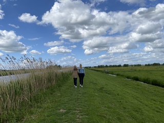 In de polder 