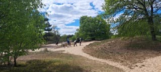 Bevrijdingsdag 2025!