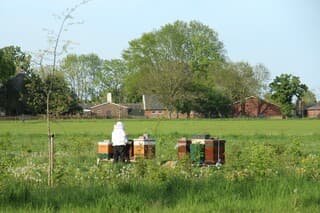 Imker  bezig