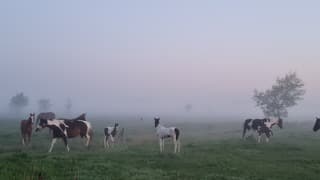 Lekker wakker worden 