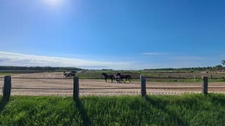 Paardenruiters bezig met drafsport bij strakblauwe lucht met in de verte laaghangende bewolking
