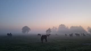 De wereld wordt wakker...